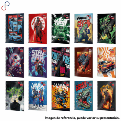 Cuaderno Q-Nota Argollado Pequeño Masculino